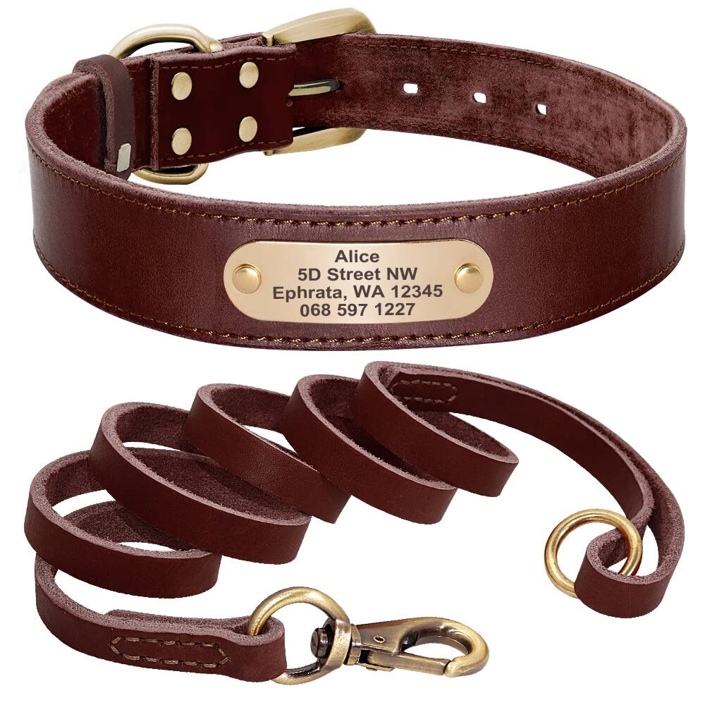 Collier personnalisé en cuir pour chien idéal pour les balades quotidiennes en ville
