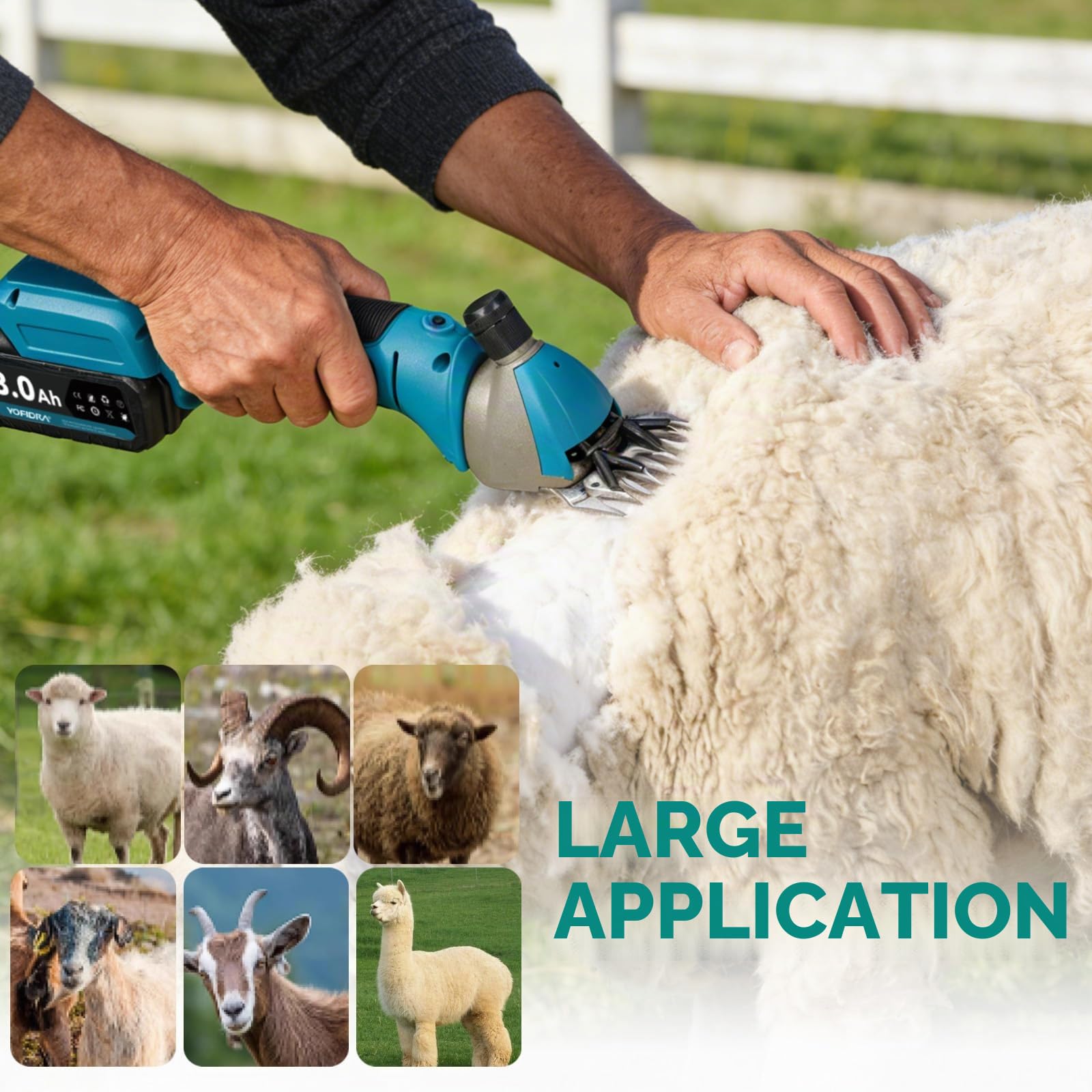 Yofidra Tondeuse à moutons sans fil 800 W - Tondeuse Mouton électrique avec moteur sans balais, 3000 tr/min, 2 batteries de 3000 mAh, griffe réglable, pour moutons, alpagas et chèvres, bleu