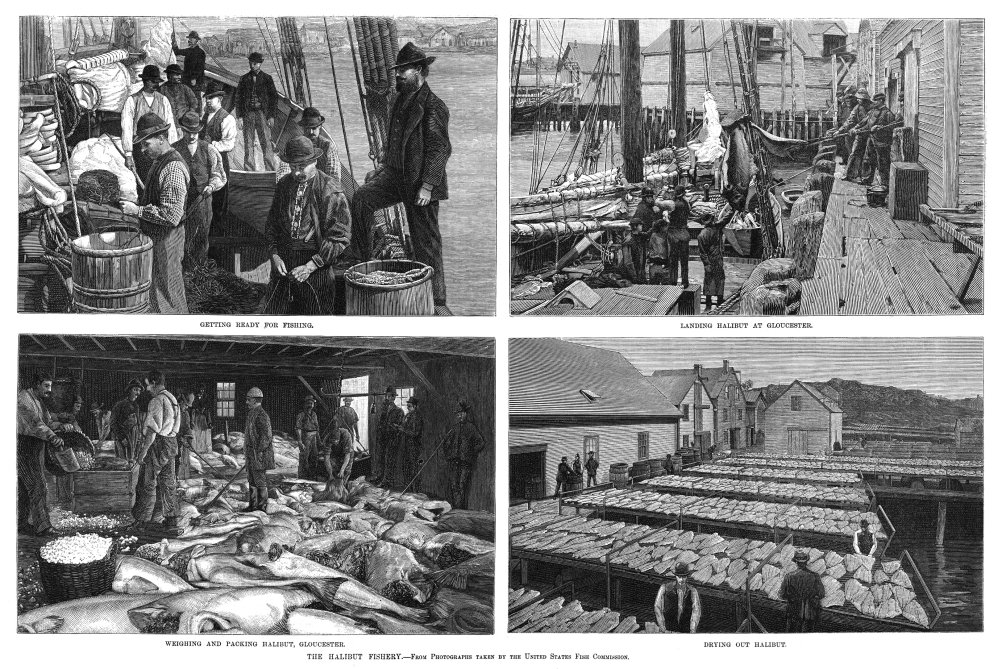 Halibut Industry 1888 Nclockwise von oben links NGetting Fertig zum Angeln Landen Heilbutt bei Gloucester Wiegen und Verpacken Heilbutt Gloucester Trocknung Heilbutt Gravuren nach dem Fotografieren