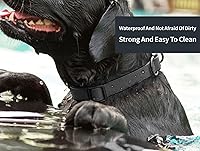 Vista 5 de Collares de perro impermeables, collares de goma antiolor, duraderos, ajustables para perros pequeños, medianos y grandes, collares fáciles