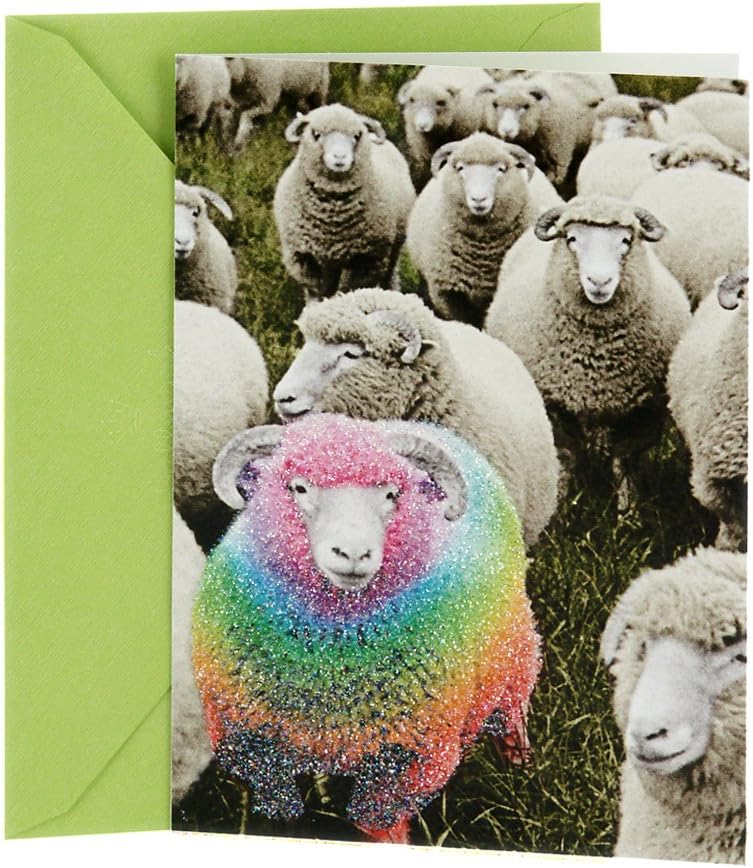 Hallmark Shoebox Funny Birthday Card (Rainbow Sheep)