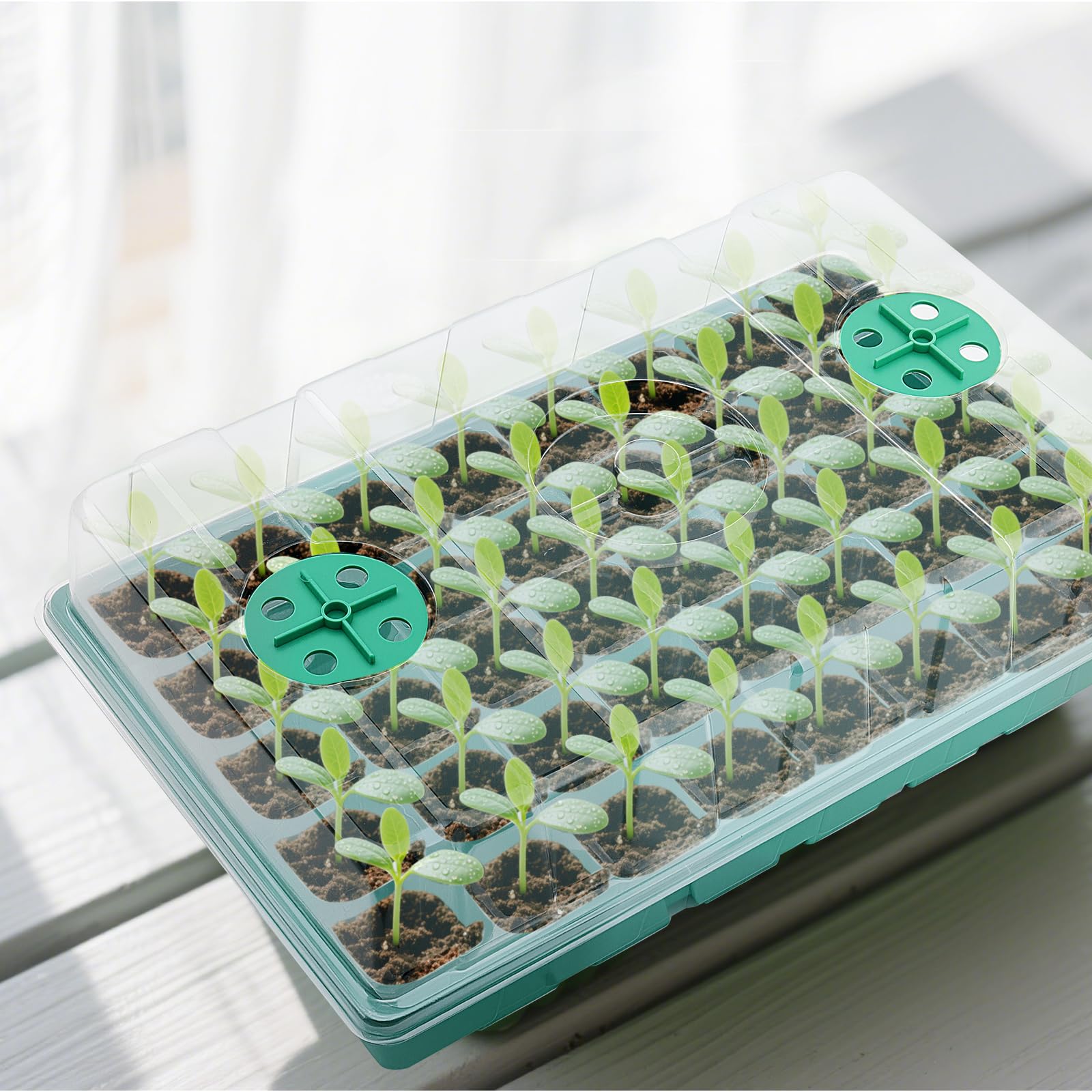 JEUIHAU Lot de 4 plateaux de semis en plastique à 160 cellules avec couvercles transparents et aérations réglables, kit de propagation de graines pour la germination des plantes en serre