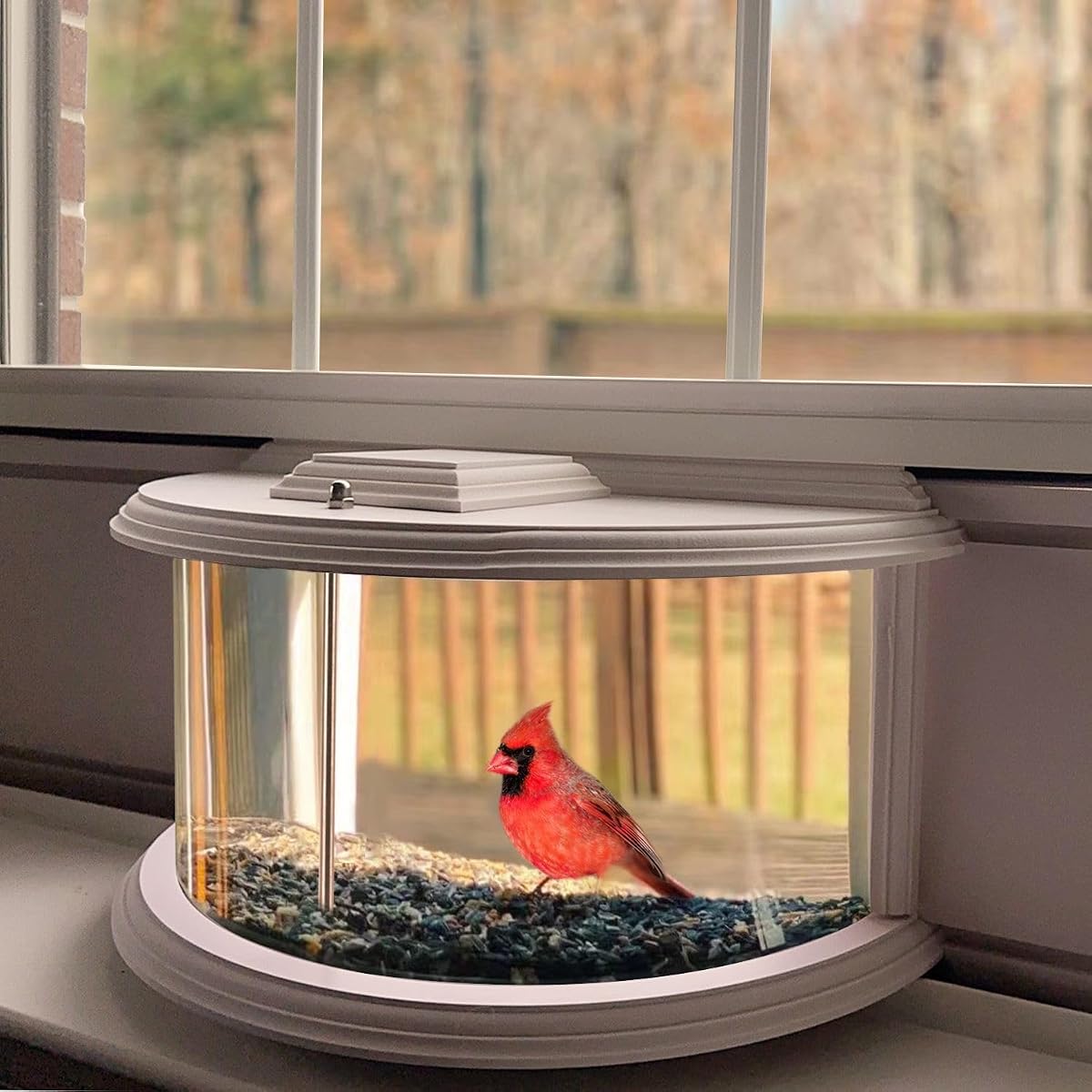 in Window Bird Feeders for Viewing - 180° Clear View Bird Feeder, Durable, Elegant, Fits Windows 27-35" Wide, for Bird Watching-Bring Joy to Your Home
