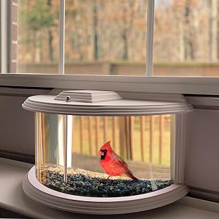 180° Clear View Window Bird Feeder