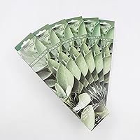 Vista 10 de Hosley Paquete de 120 varillas de incienso + paquete de 120 unidades (total 240), cereza negra, paquete a granel perfecto para el hogar, meditación