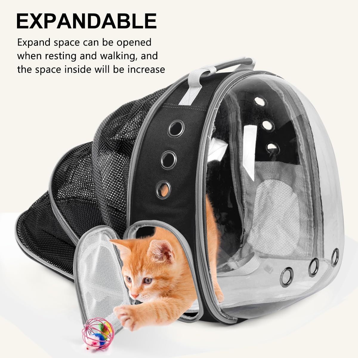 https://m.media-amazon.com/images/I/71z54T6kXFL.jpg
