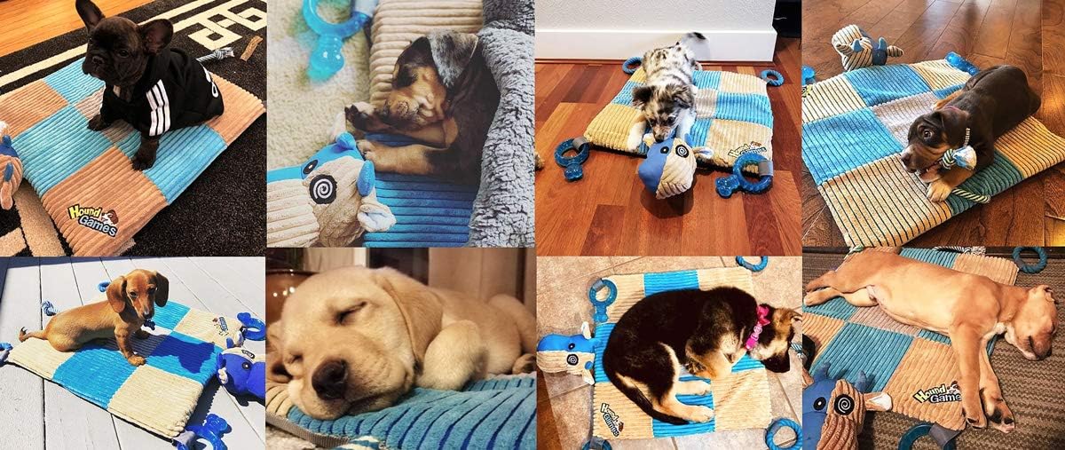 Puppy Teething Mat, Dog Play Mat, Playmat with Teething Toys, Dog Playpen Accessories, Teething Rings, Stuff for Puppies, Playpen, Essentials - 20 X 20