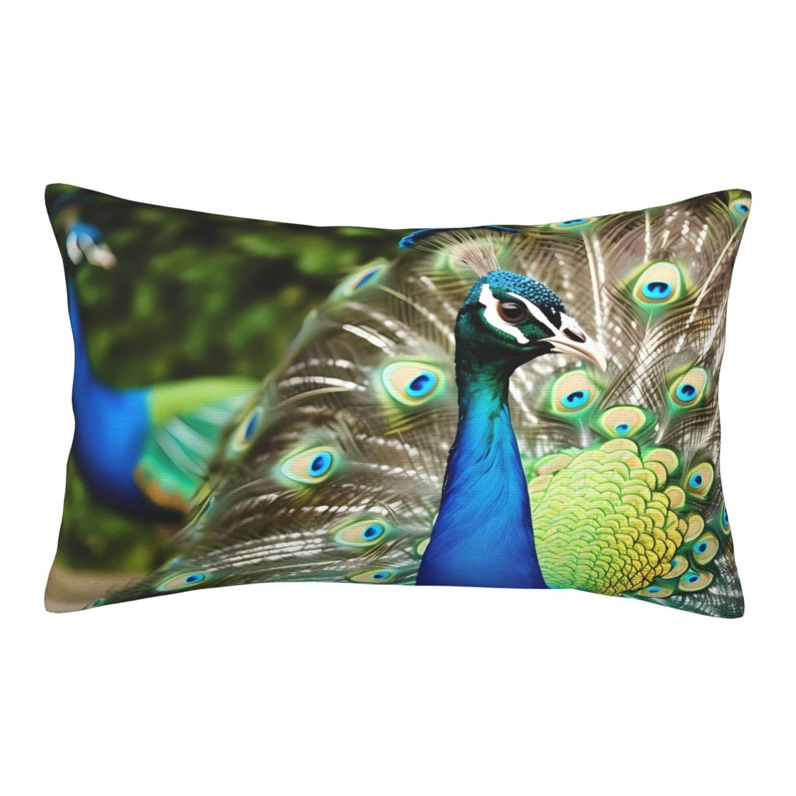 Velvet Pillowcases 16"x24" Ultra Soft Breathable Pillow Cases, Luxury Fuzzy Throw Pillow Covers with Zipper, Beautiful Peacock Pillow Shams All Seasons Decorative Cushion Cases for Couch