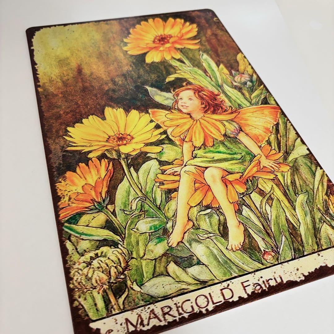 Amazon.co.jp: シシリーメアリーバーカー フラワーフェアリーズ マリー