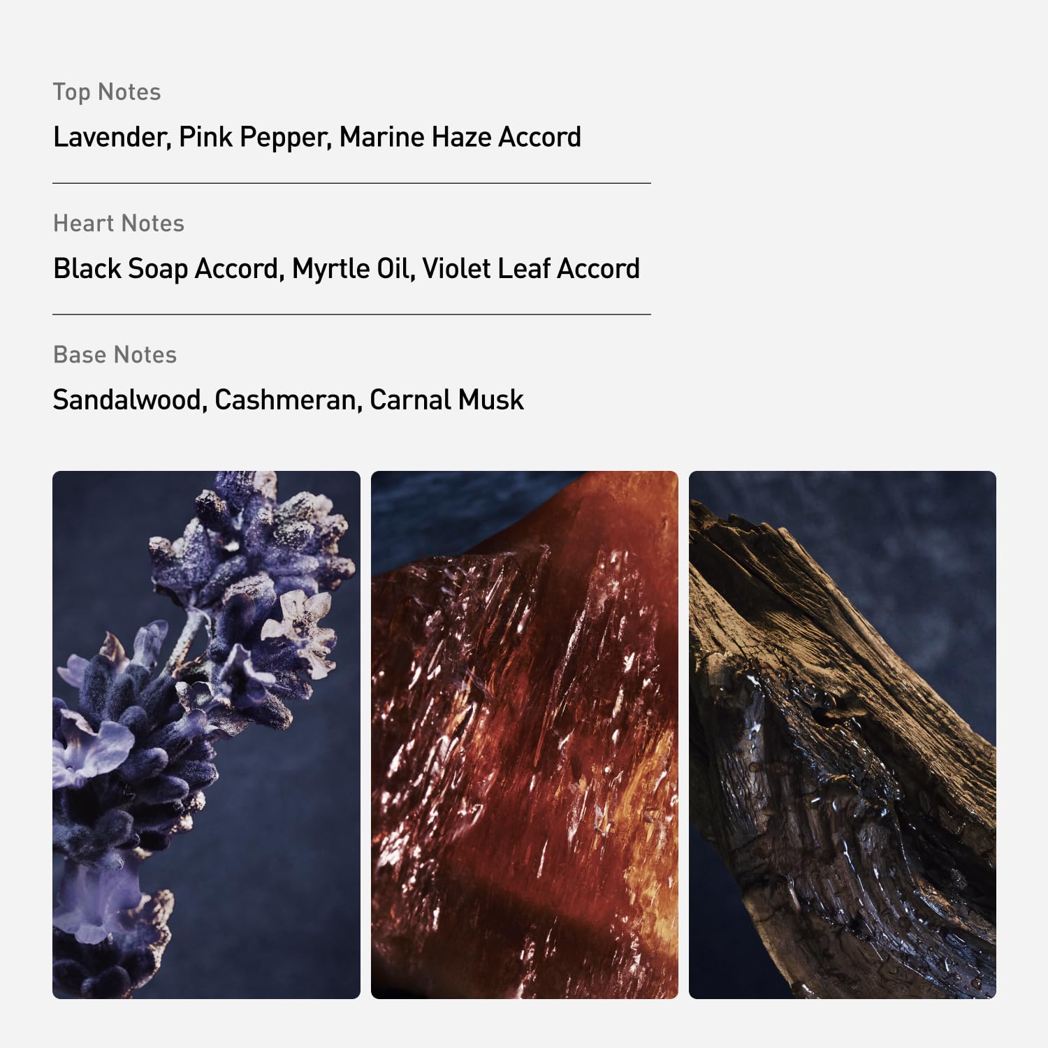 Invictus Parfum for Men - Long Lasting Aromatic Aquatic Perfume with Lavender, Sandalwood & Musk - Trophy Bottle French Fragrance Spray from Paris, 3.4 oz - Image 2