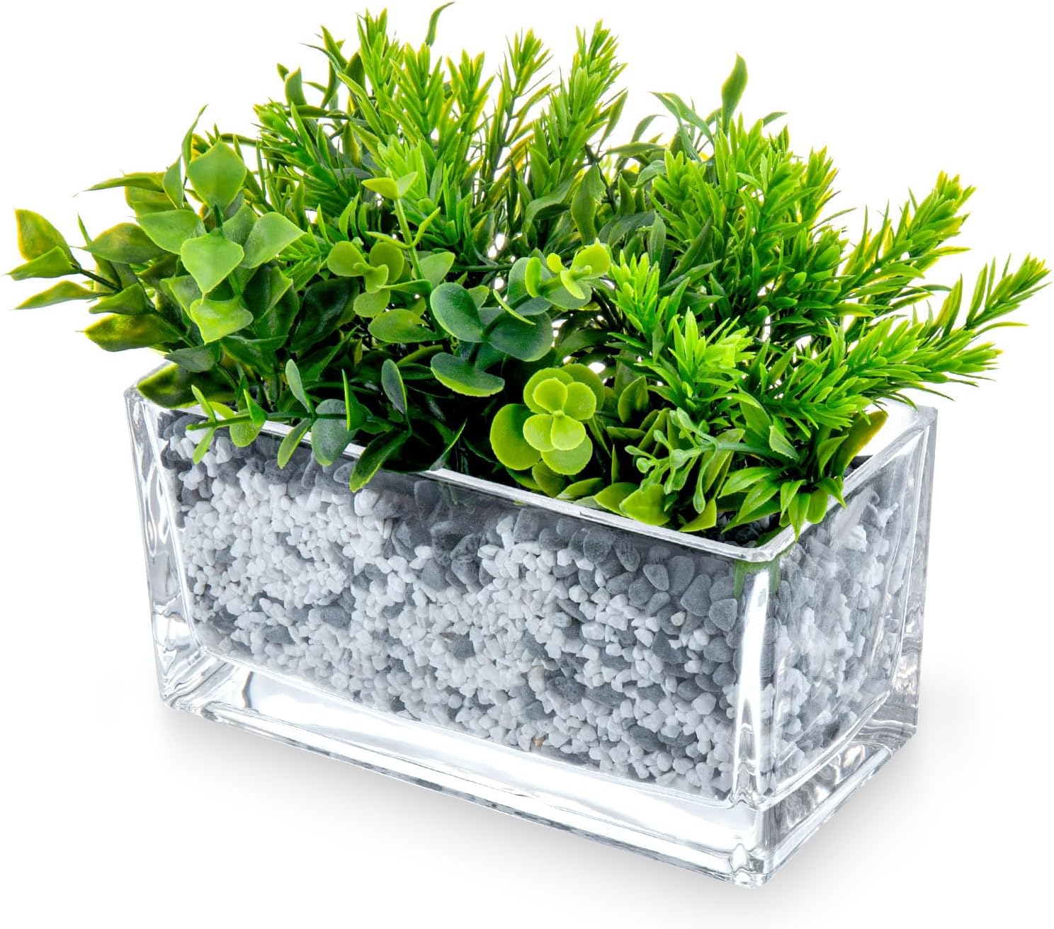 MyGift 7.8 inch Modern Rectangular Glass Vase, Trough Planter, Tabletop Glass Terrarium