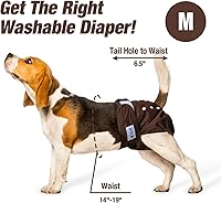 Vista 62 de Pet Soft Washable Female Diapers (3 Pack) Female Dog Diapers, Comfort Reusable Doggy Diaper for Girl Dog in Period Heat (Sprightly, XS)