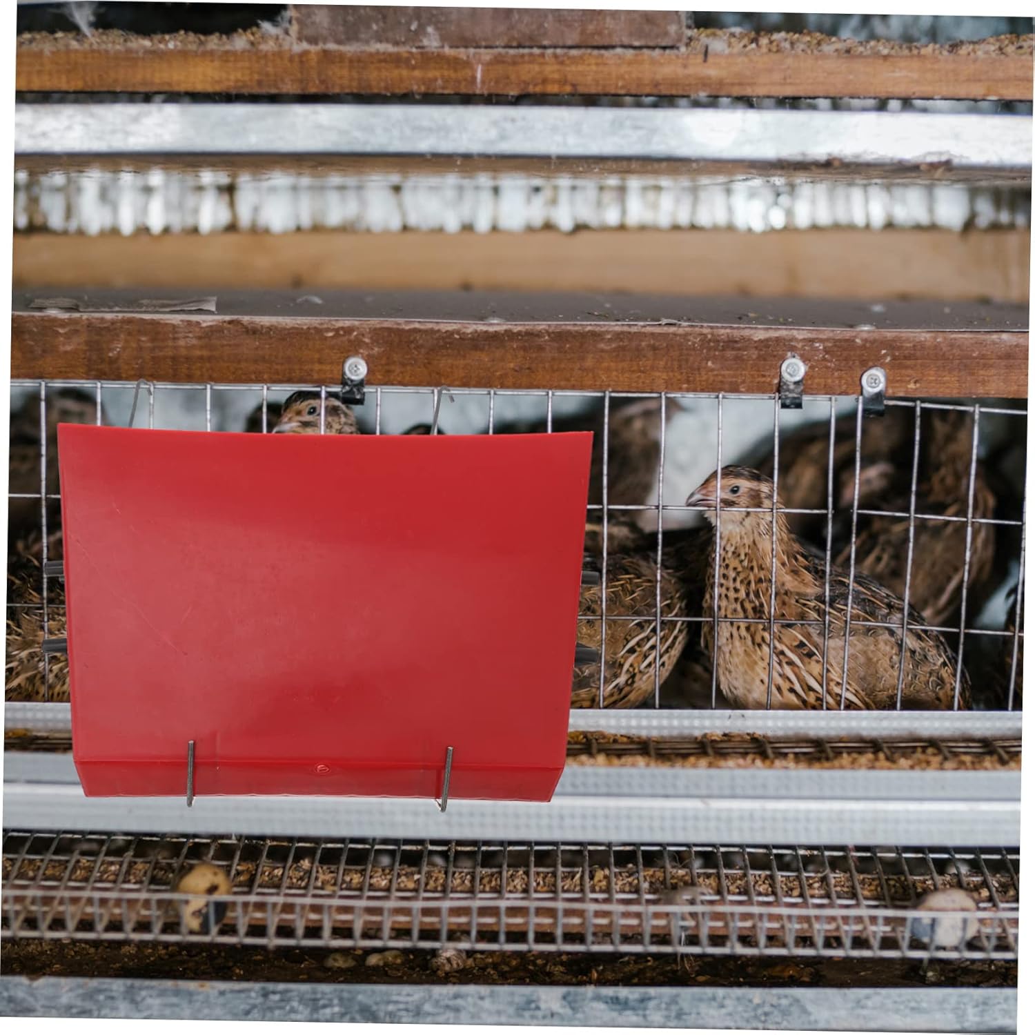 MERRYHAPY 1pc Automatic Feeding Box for Quail Red Poultry Feeder Easy Install Capacity Suitable for Quails Pigeons and Parrots Practical Food Dispenser Tool Color