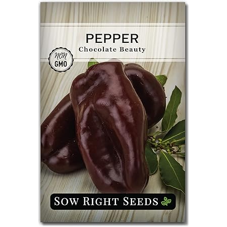 Pepper Seeds - Sweet - Chocolate Beauty