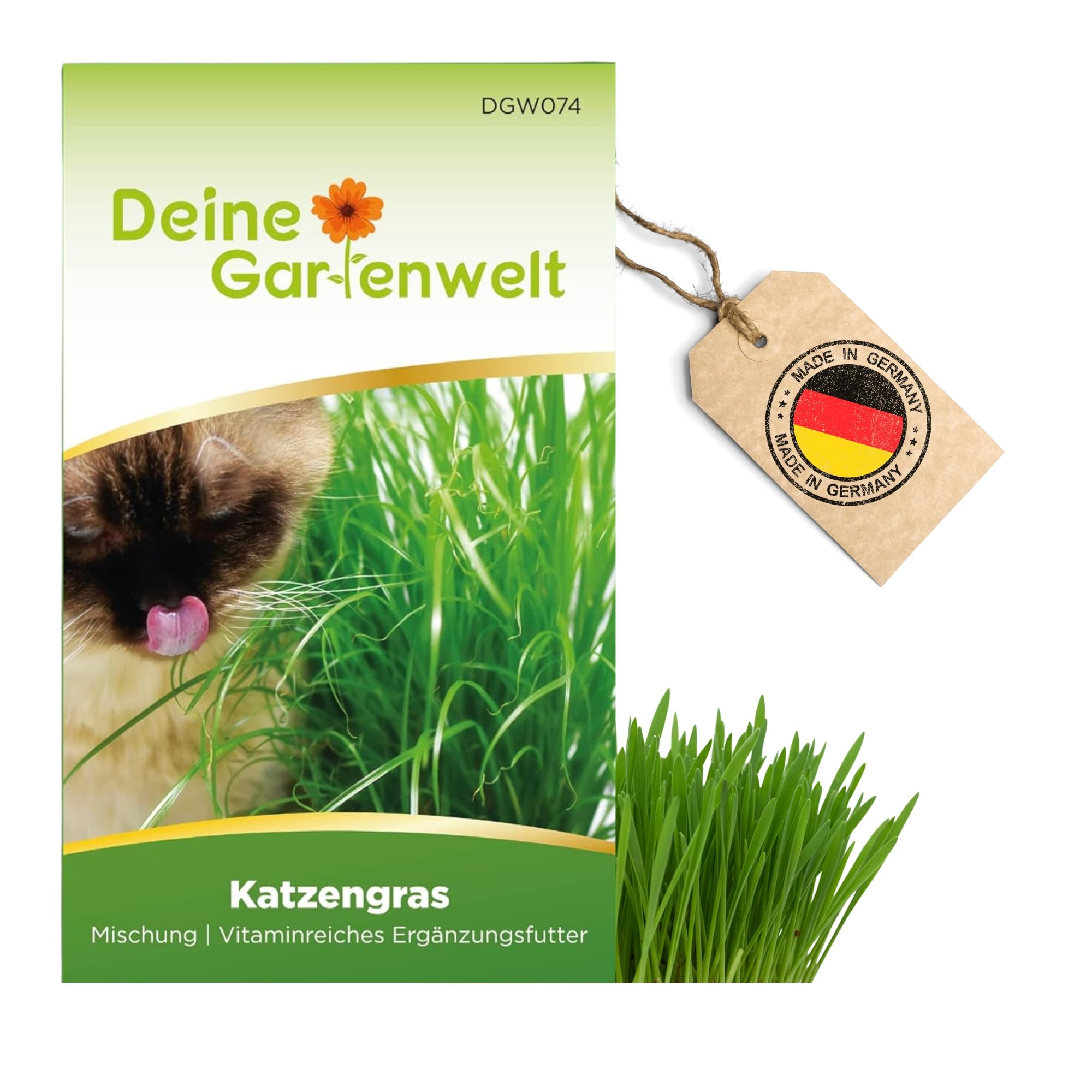 Katzengras Samen - Avena sativa und Lolium perenne - Katzengrassamen - 10 g  Saatgut fr etwa 5 Tpfe : Amazon.de: Garten