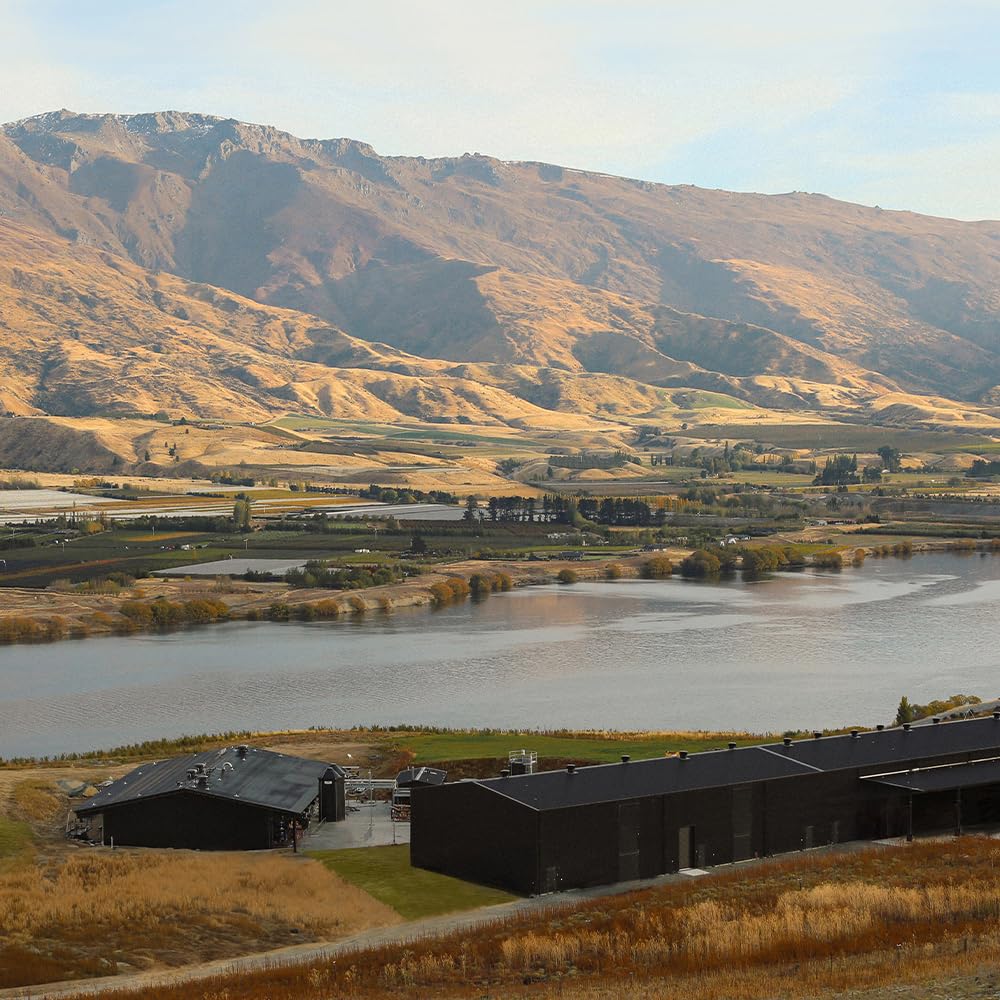 Amazon.co.jp: SCAPEGRACE Black Premium Dry Gin スケープグレース