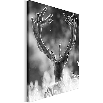 Revolio 30x40 Cm Leinwandbild Wandbilder Wohnzimmer Modern Kunstdruck Design Wanddekoration Deko Bild Auf Leinwand Bilder 1 Teilig Natur Hirsch Geweih Schwarz Weiss Amazon De Kuche Haushalt