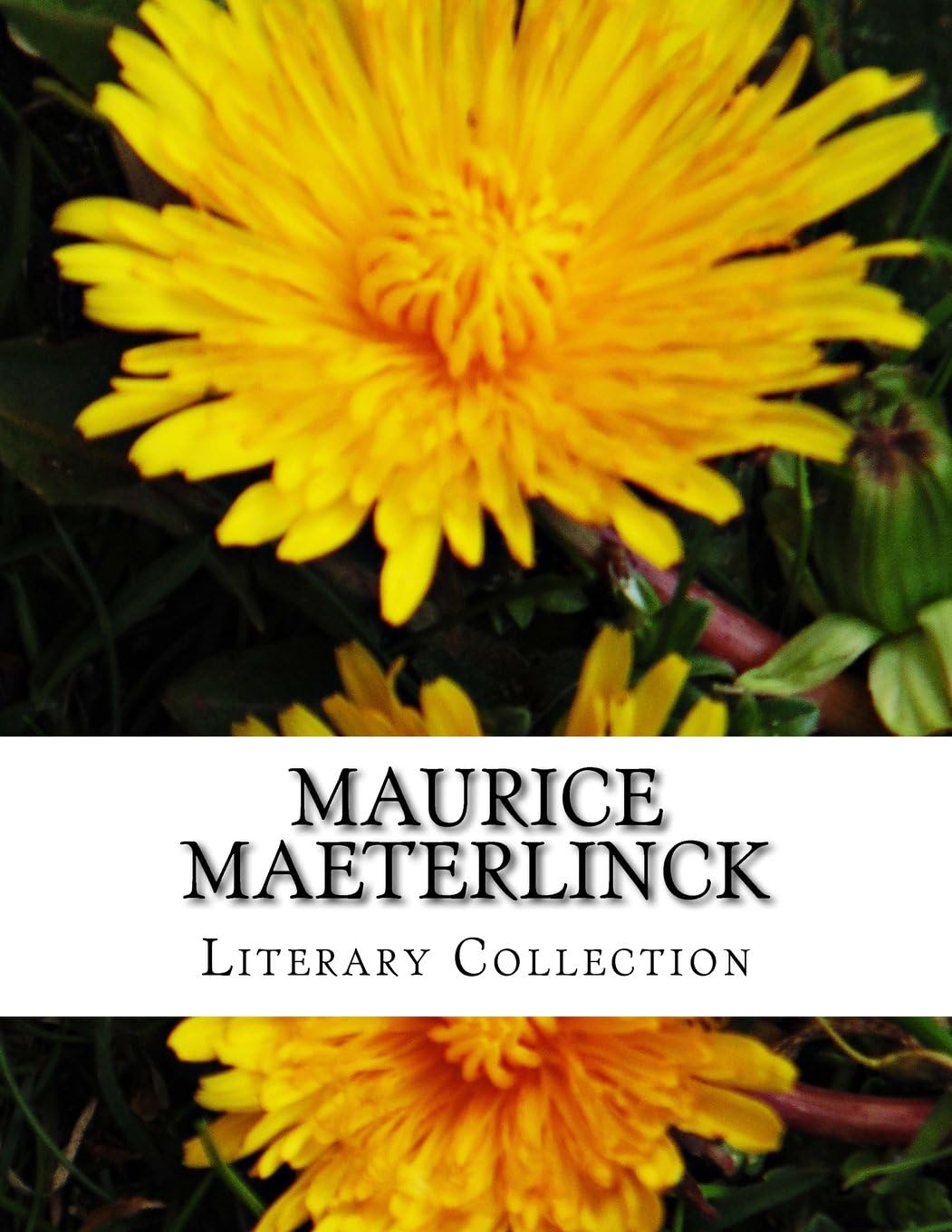 Maurice Maeterlinck, Literary Collection