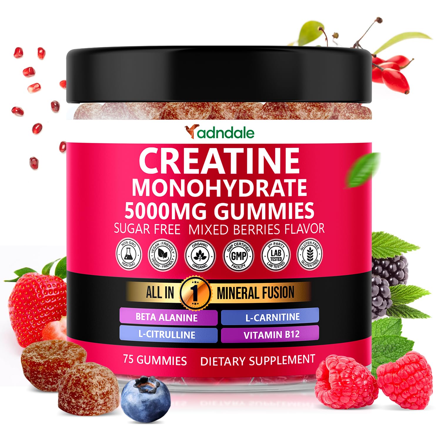Adndale Creatine Gummies for Women & Men