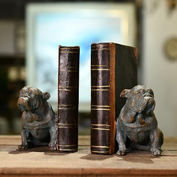 Guichifun Decorative Bookends (2 Pack) - Bronze Resin Painted Bookends for Home Decor