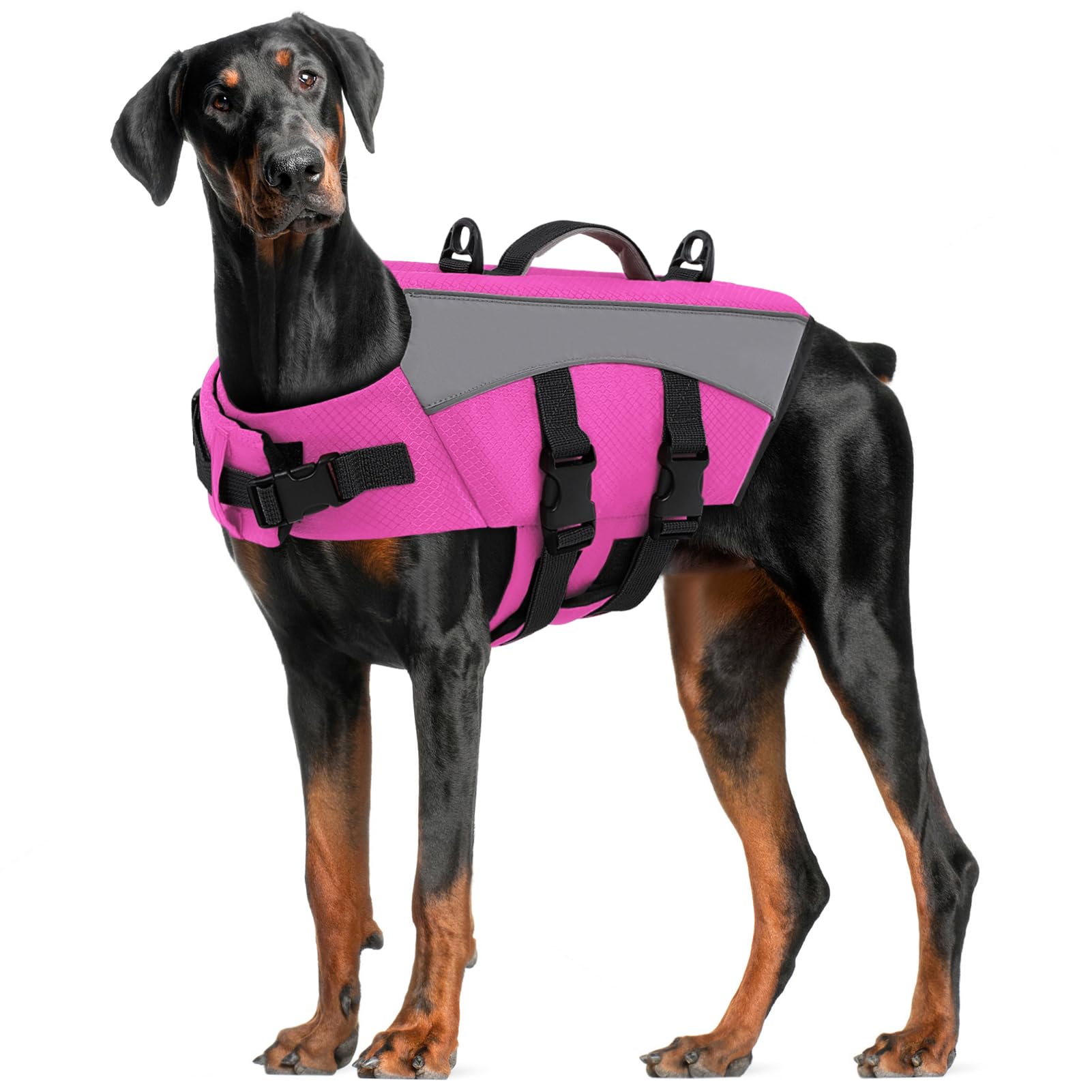 CITÉTOILE Giubbotto Salvagente per Cani - Giacca Galleggiante Riflettente con Maniglia, Galleggianti e Cinture Regolabili per Sicurezza in Acqua, Piscina, Rosa, L