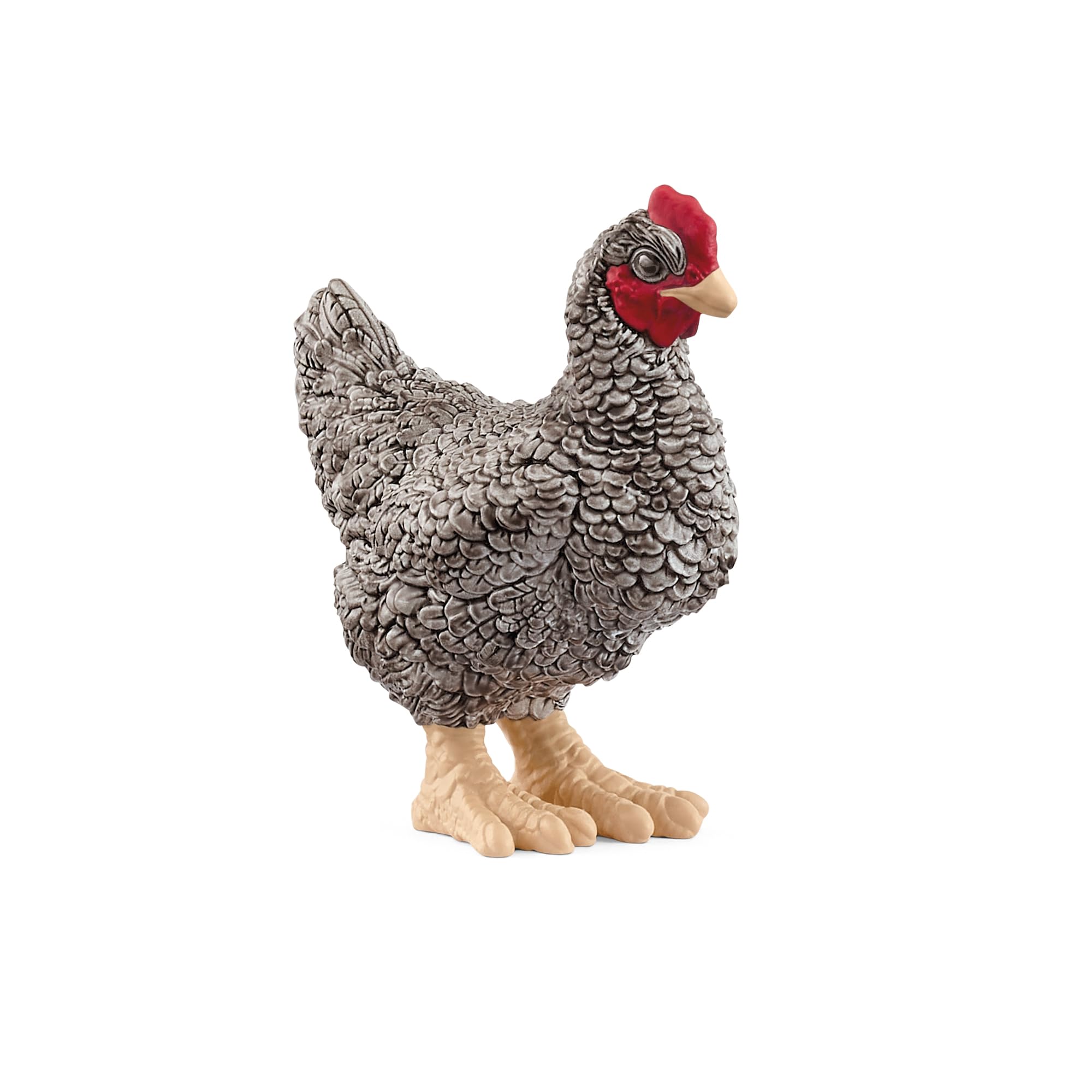 SCHLEICH Farm World - 4cm Plymouth Rock Chicken Toy for Kids. Realistic, Hand-Painted Farm Animal Toys for Boys and Girls. Fun Figure for Screen-Free Learning for Children and Toddlers Ages 3+ 13997