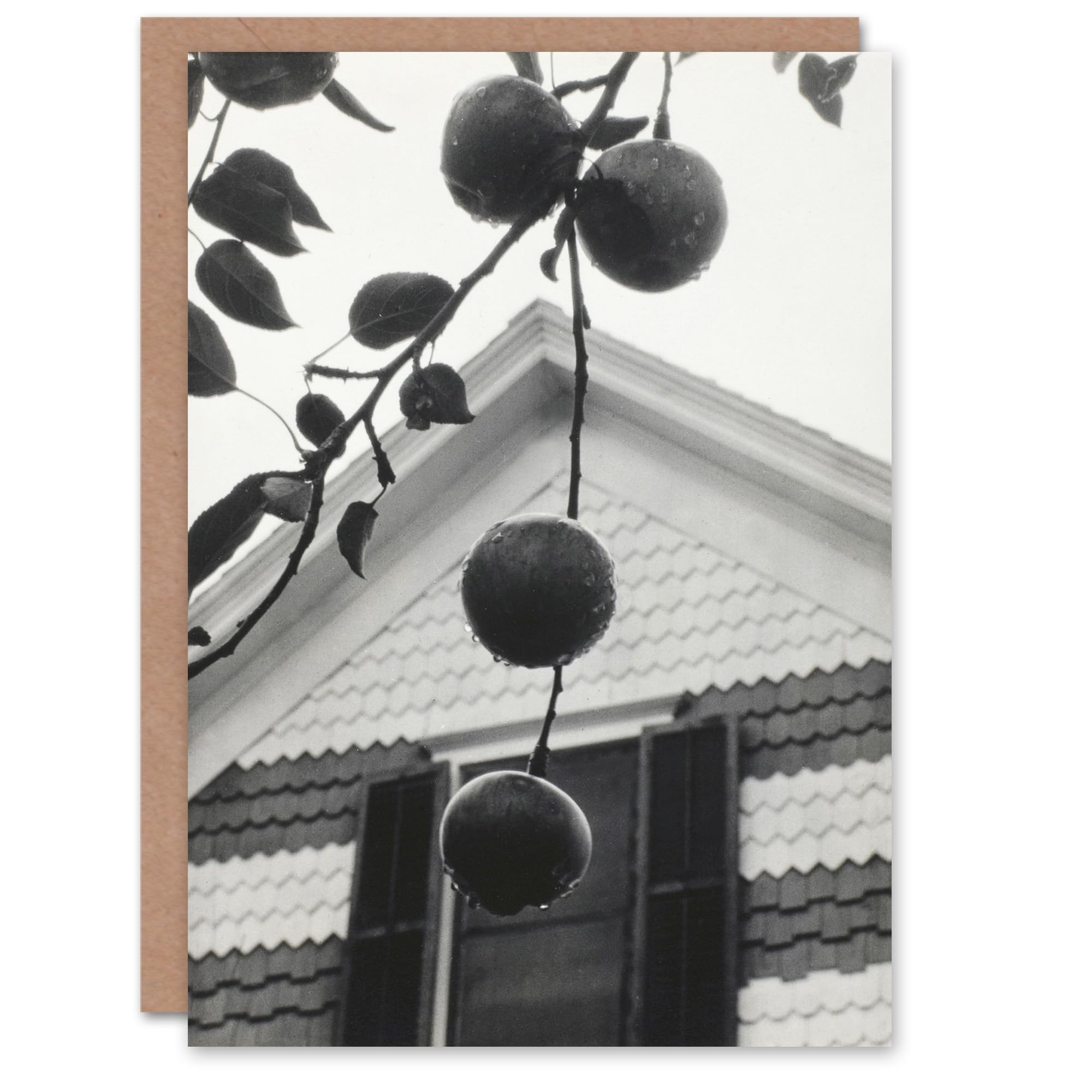 Artery8 Alfred Stieglitz Art Card Gable and Apples Vintage Photograph