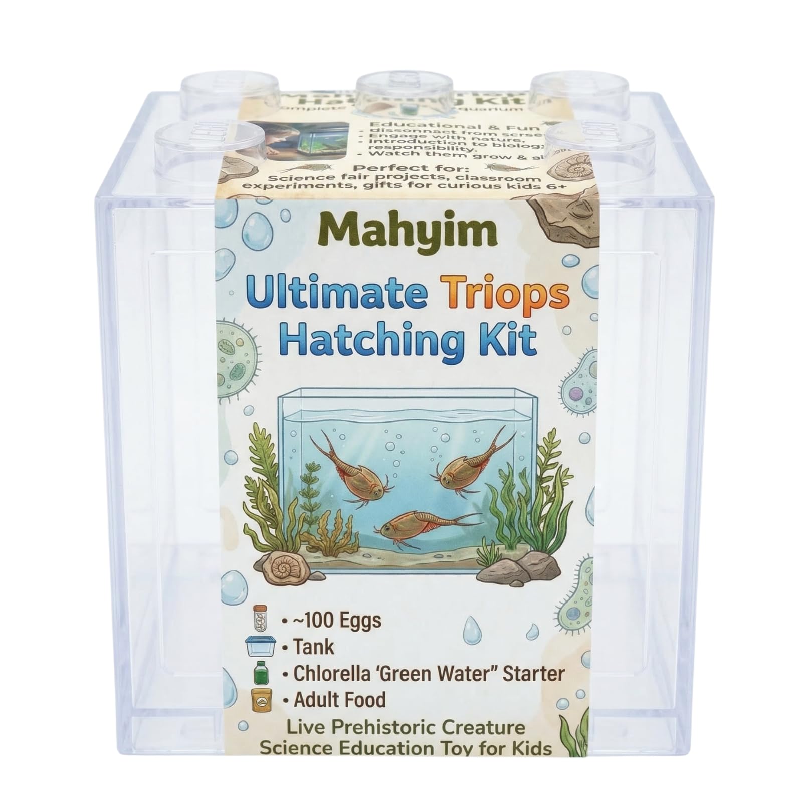 Ultimate Triops Hatching Kit - Complete Aquarium Set - HIGH-Success Rate -
