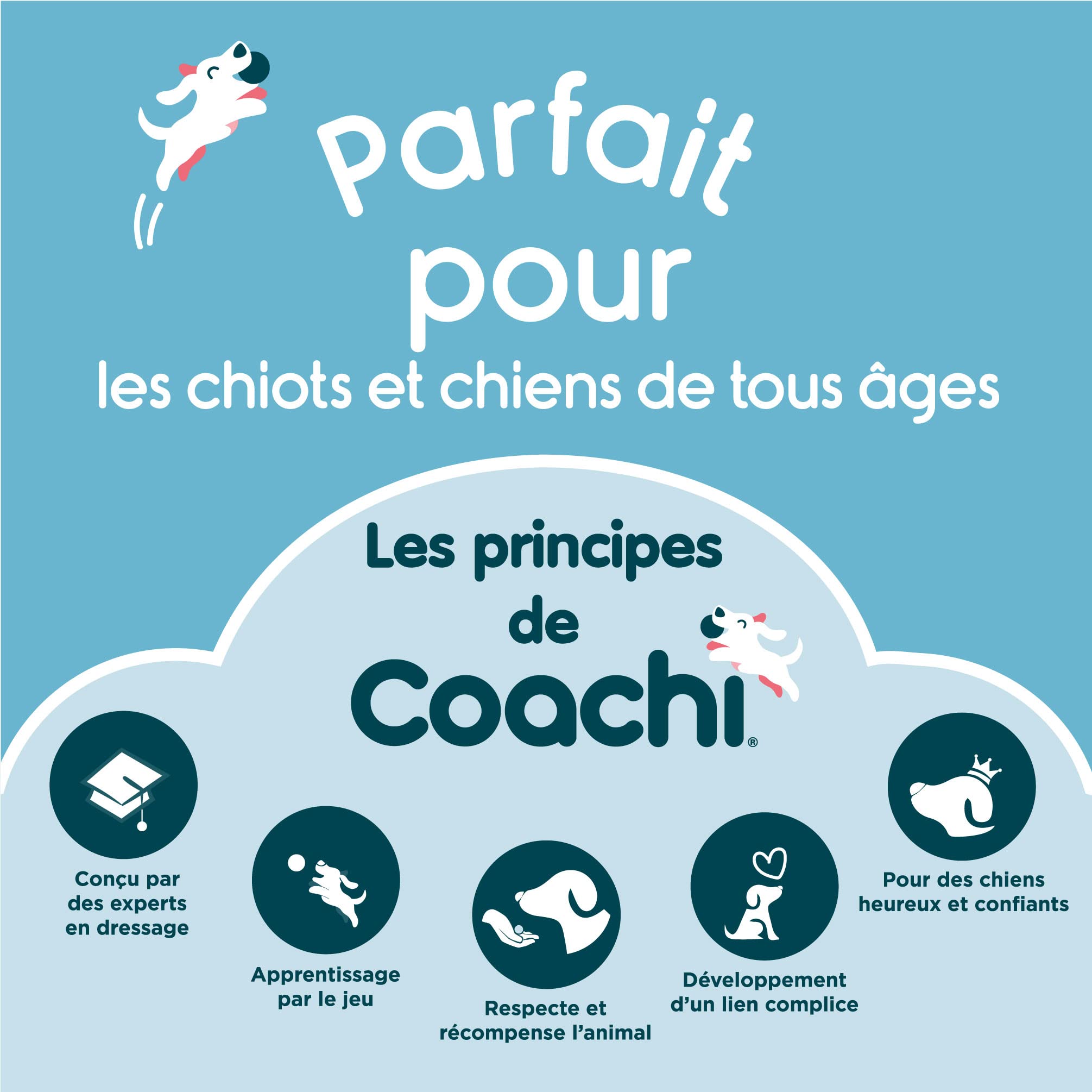 Canvas Training Dummy Coachi, Flotte, à Lancer, Classique des Jouets à rapporter, Dressage de Chiots et Chiens de Chasse. Accessoire pour Petits Chiens et Chiots.
