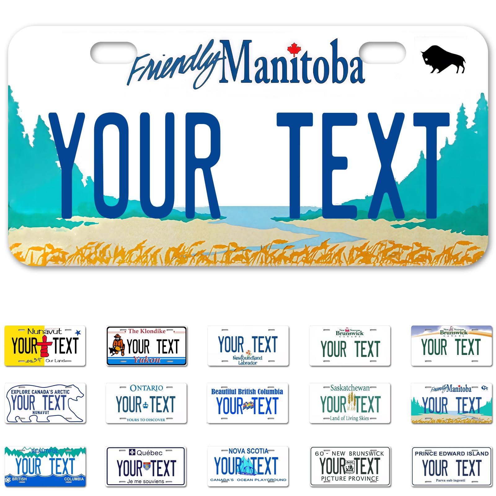 Ontario License Plate, 6"×12" Custom License Plate — view 31