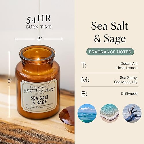 Miniatura 2 de Paddywax Velas Colección Apothecary Reed