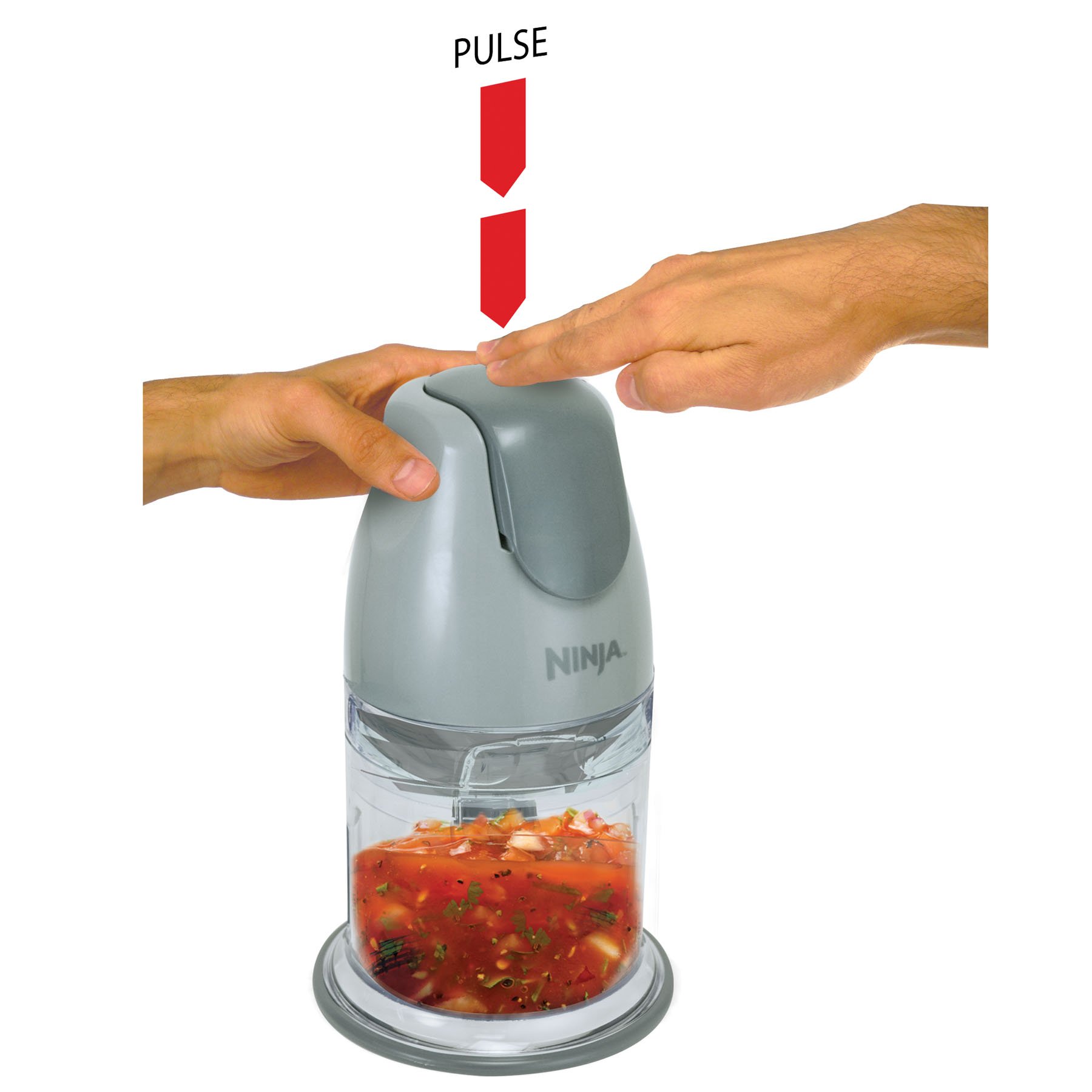 Ninja 400Watt Blender/Food Processor for Frozen Blending, Chopping and