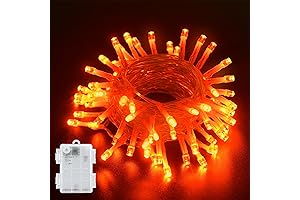 BOLWEO Fairy Lights Perfect for Spooky Halloween Ambiance