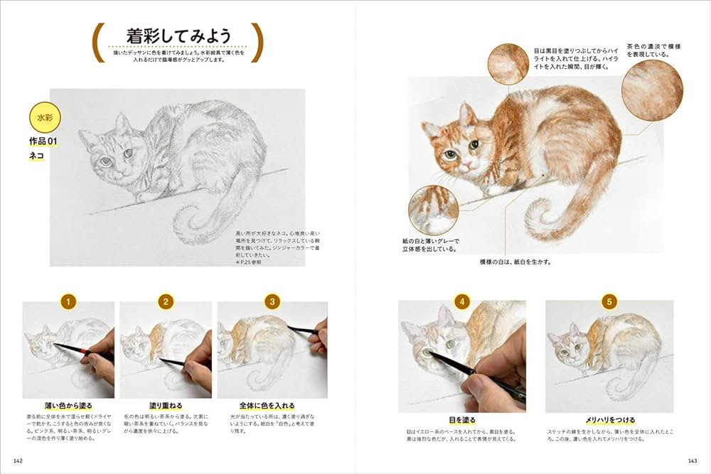 動物を描こう | 内藤 貞夫 |本 | 通販 | Amazon
