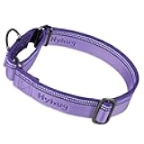 Hyhug Pets Reflective Dog Martingale Collar with Nice Jacquard Weave Nylon for Large Medium Dogs Daily Walking and Training. (Medium, Ultra Violet)