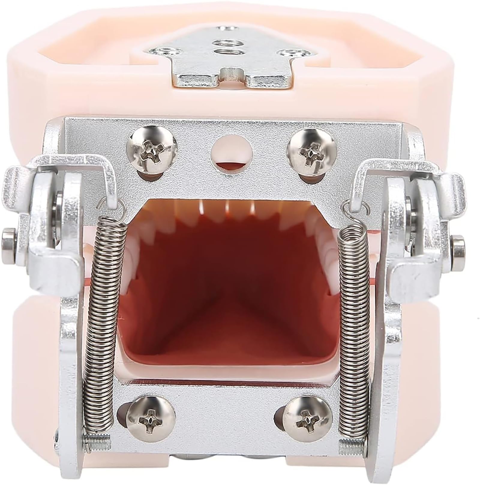 Odłączany model zębów, symulacyjny model zębów dentystycznych, materiały edukacyjne do praktyki dydaktycznej, narzędzie do demonstracji dentystycznej, w zestawie śrubokręt