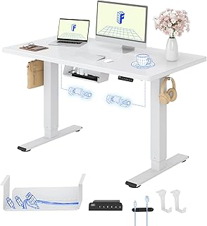 FLEXISPOT Höhenverstellbarer Schreibtisch mit 2 Motoren & 25MM EINTEILIGER Tischplatte 120x80 cm, Ergonomischer Bürotisch Elektrisch mit Kabelmanagement, Memory Funktion & Höhenanzeige
