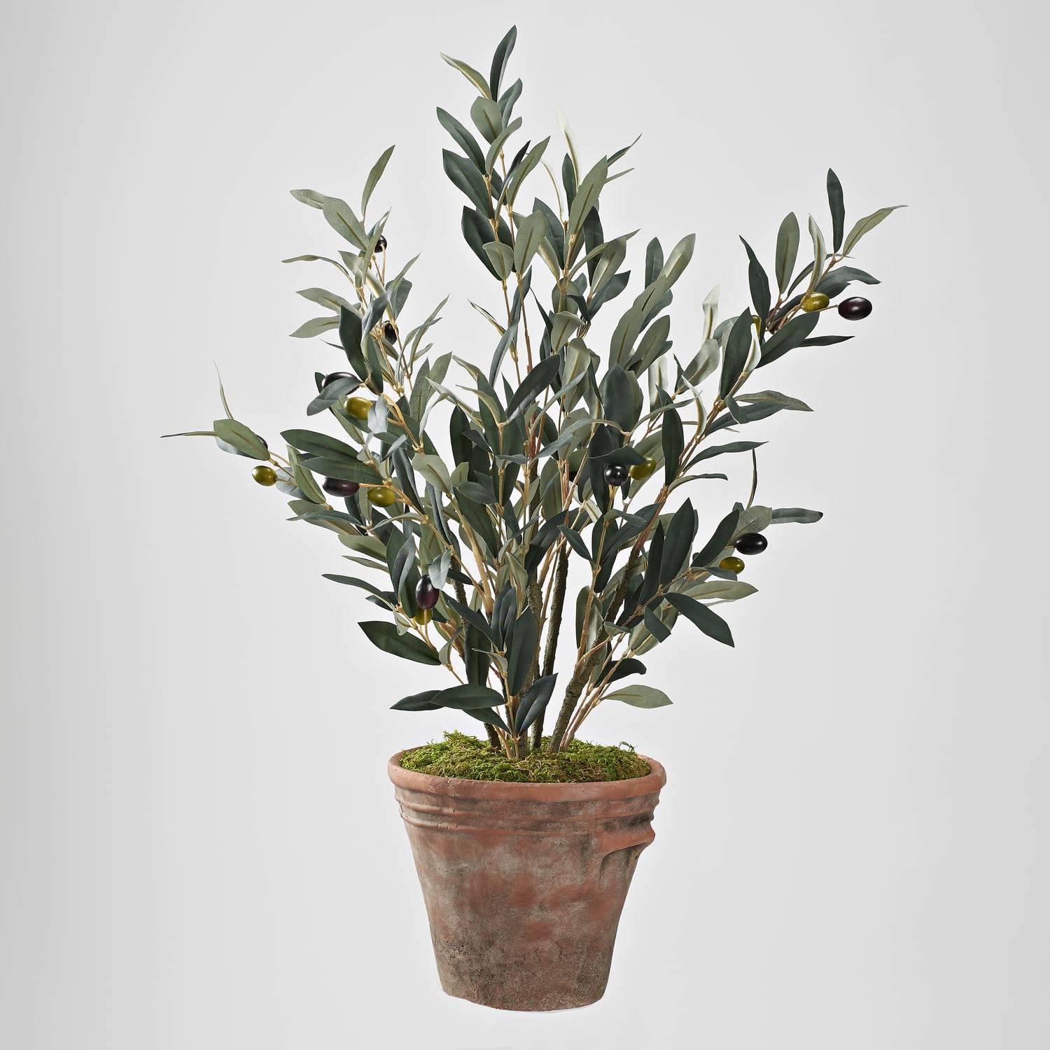 D W Silks Olive Spray in Terracotta Pot