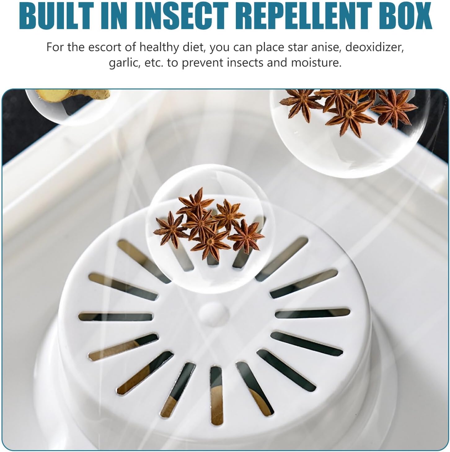 Sealed Rice Storage Container 10-pound Capacity Food Canister with Measuring Press Lid Plastic Grain Storage Box for Kitchen Pantry Organization