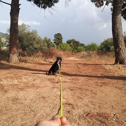 Miniatura 7 de Correa de perro resistente al agua NIMBLE cuerda de entrenamiento duradera al aire libre correa larga 5 pies, 10 pies, 13 pies, 16 pies, 30 pies, 50