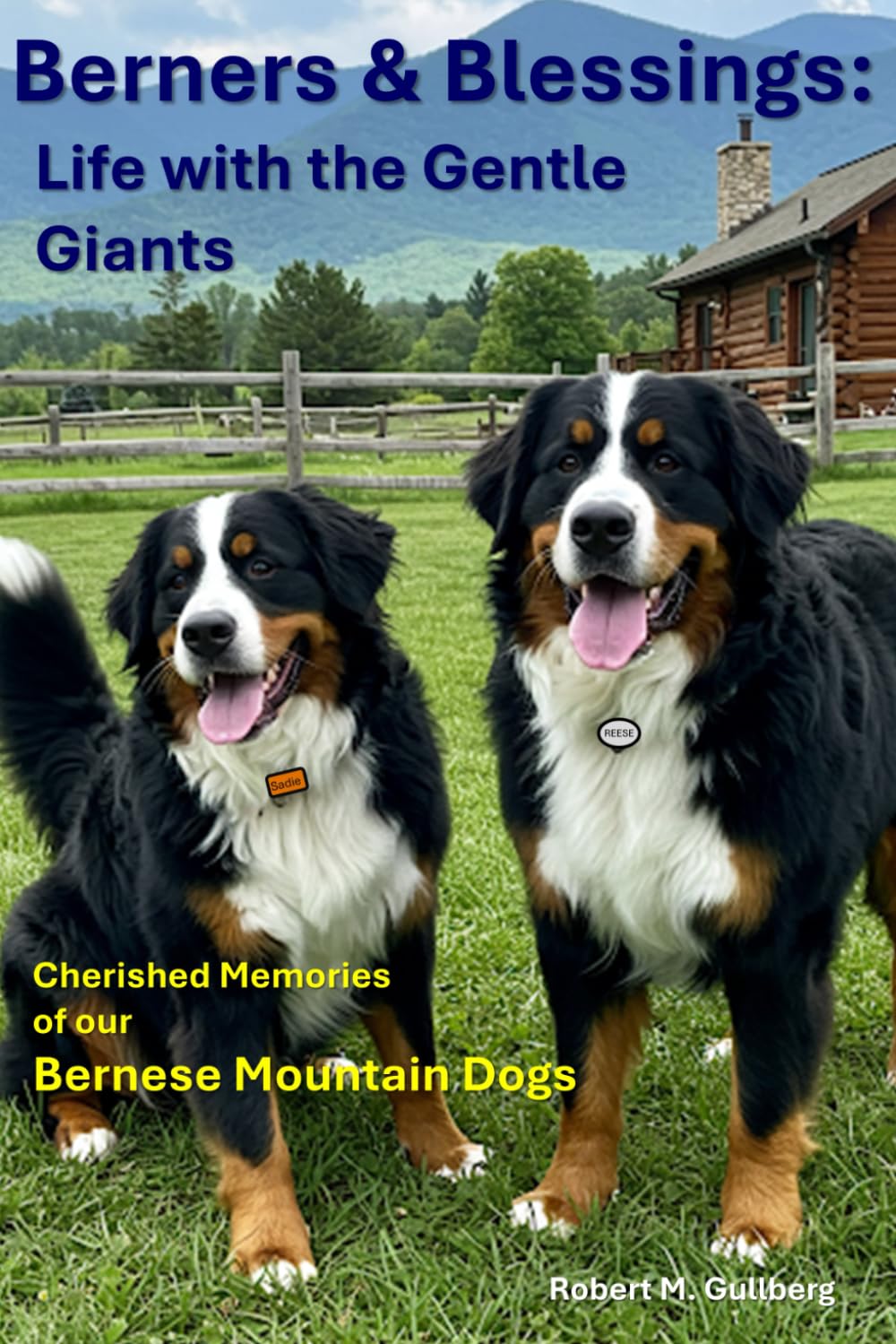 Berners & Blessings: Life with the Gentle Giants: Cherished Memories of our Bernese Mountain Dogs