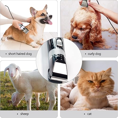 Miniatura 7 de Cortapelos profesionales de 12 V para el aseo, tijeras eléctricas de ovejas para mascotas para pelos gruesos y resistentes, recortadoras de pelo de