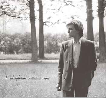 Amazon.co.jp: Brilliant Tree (Rmst) (Dlx): ミュージック