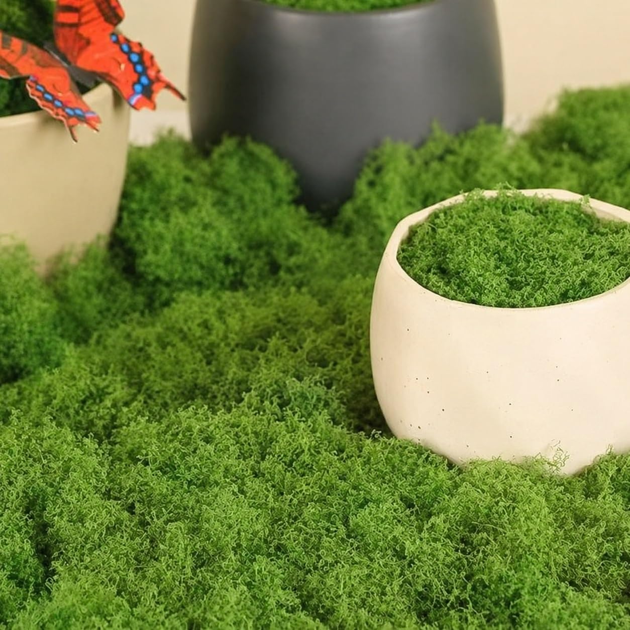 HZLXF1 30g Artificial Green Plants Eternal Moss Life Grass Mini Landscape Garden Home Living Household Decor Fake Grass DIY Crafts(50g)