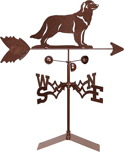 SWEN Products Veleta para perros Golden Retriever