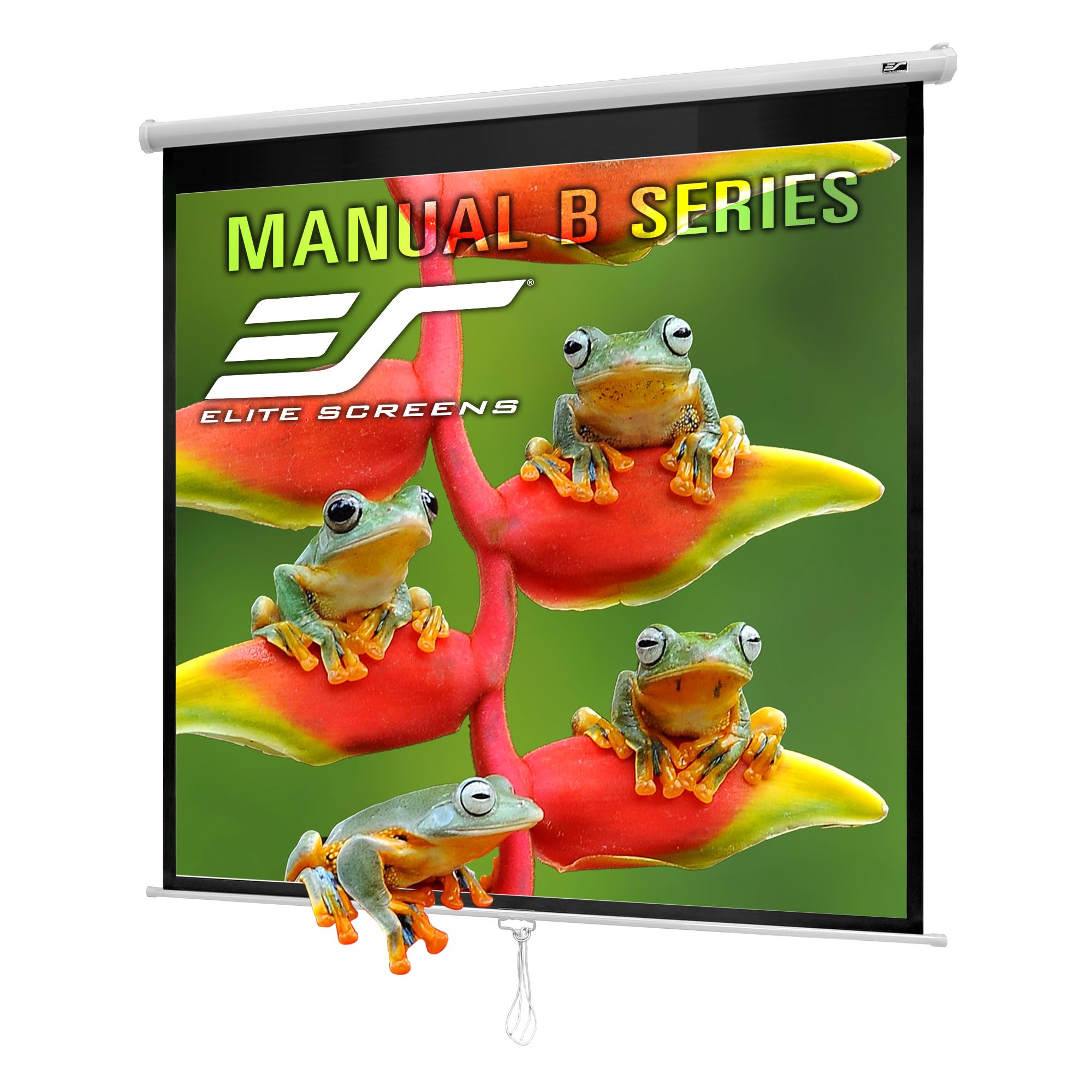 Elite Screens Manual B, 100-INCH 1:1, Manual Pull Down Projector Screen 4K / 8K Ultra HDR 3D Ready with Slow Retract Mechanism, 2-YEAR WARRANTY, M100S