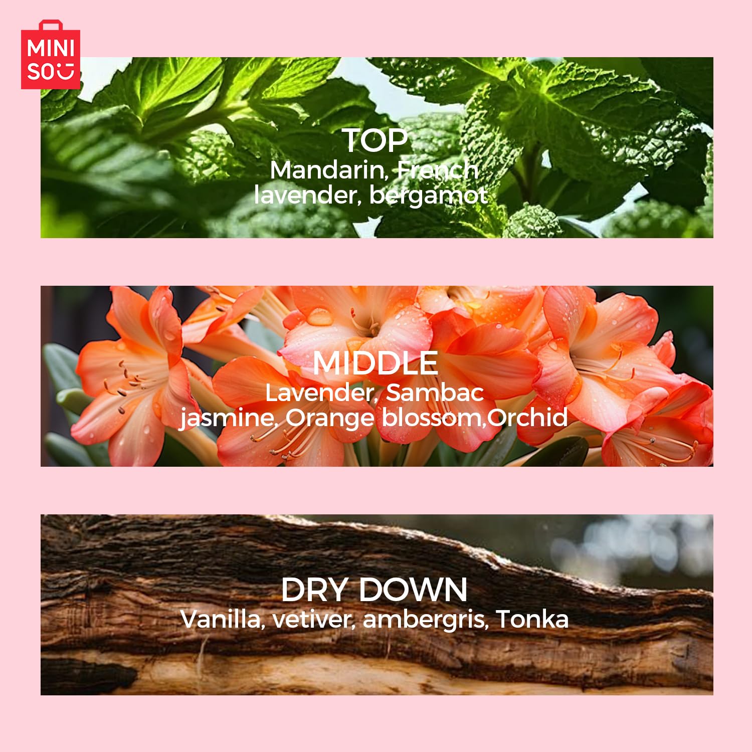 MINISO Pink Beach Eau de Parfum – Mandarin, Lavender, Jasmine & Vanilla Notes – Sweet, Smooth & Long-Lasting Women’s Perfume, 1.69 fl oz / 50 ml - Image 6