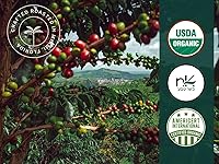 Vista 2 de Artizan Coffee USDA Organic Espresso Coffee Capsules For Nespresso Original Signature Blend Variety 40 Compatible Compostable Pods