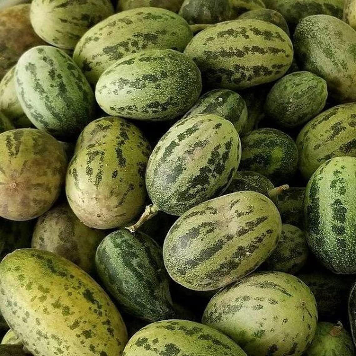 EMKOT Kachra Saind Fruit/Vegetable Seeds-AM10N-100Seeds (B0BVNLCKB7) Amazon Price History, Amazon Price Tracker