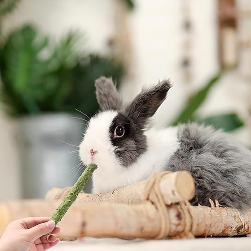 Miniatura 3 de Juguetes para moler dientes de hámster de conejo, aperitivos, hojas de morera natural secadas al aire, el juguete de elección para mascotas pequeñas